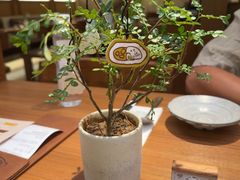 -CURRY YA 熟成咖哩專門店(深圳湾万象城店)