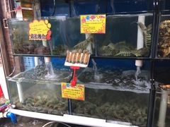 -蚝专家(北滘店)