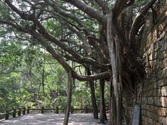 -东山风动石景区