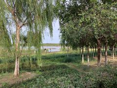 -西青郊野公园