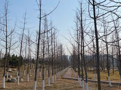 -汉长安城未央宫国家考古遗址公园