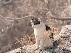 -青州市云门山风景区