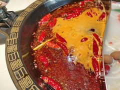 -醉南山重庆老火锅(新百店)