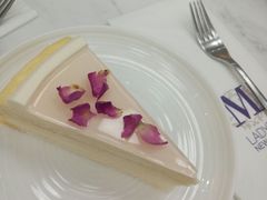 -Lady M(沙田新城市广场店)