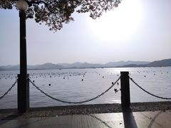 -老头儿油爆虾·1987杭州烟火味(湖滨银泰in77D区店)