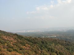 -紫金山索道-售票处