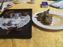 -鸽王世家(东华东路店)