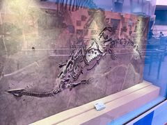 -陕西自然博物馆