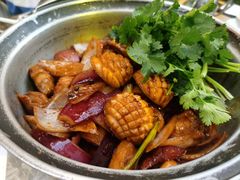 -禄婶鸡煲·打边炉