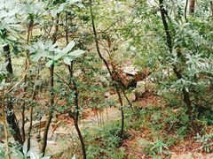 -兴福老面馆(寺路街店)