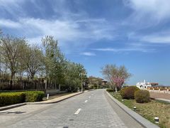 -天津东疆湾沙滩景区