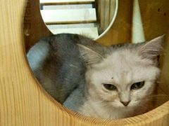 -龟与熊猫宠物公园(南坪店)