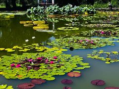 -国家植物园南园