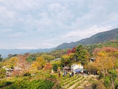 -塔川景区