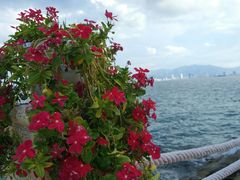 -越海渔村