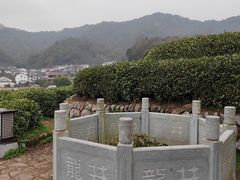 -龙坞茶村