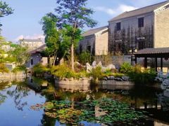 -山水茶艺馆·点心粤菜·30年老字号