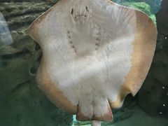 -珠海长隆海洋王国