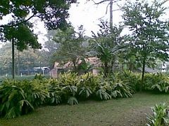 -晓港公园