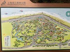 -上海滨江森林公园