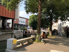 -溱湖国家湿地公园