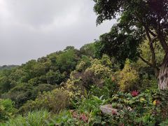 -广州市白云山风景名胜区