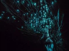 -怀托摩萤火虫洞