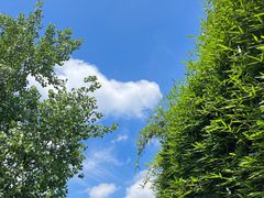 -洋湖国家湿地公园