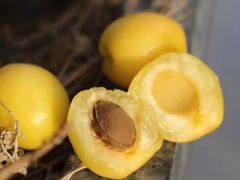 -上海龙吴水胜海发市场