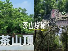 -东莞市大岭山森林公园