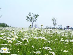 -同里国家湿地公园