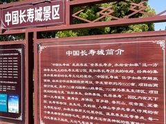 -东方大寿星园