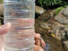 -素山寺森林公园