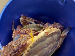 -澜悦港海鲜体验主题餐厅