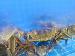 -星伦多自助料理(永旺店)
