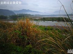 -楠溪江风景名胜区