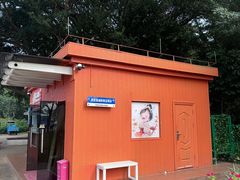 -野狸岛
