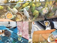 -丽达购物中心(崂山店)