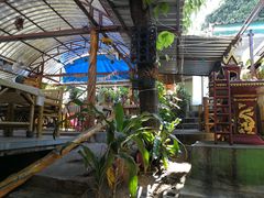 -Jungle Kitchen