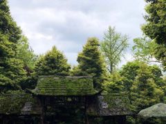 -青城山