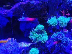 -双季花艺园艺市场(浦东店)