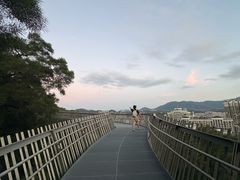 -福道