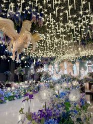 -花嫁丽舍婚礼殿堂(世博江景店)