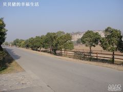 DSC03605-苏州太湖牛仔风情度假村