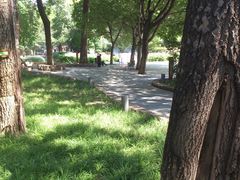 DSC_3341-南馆公园