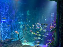 -沈阳海洋探索中心