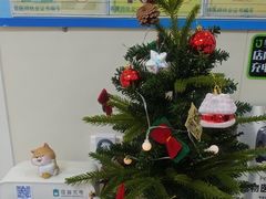 -美联众合动物医院·24h京西诊疗中心