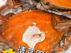 -北塘海鲜·天津菜(大光明桥旗舰店)
