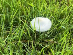 -锅圈食汇火锅烧烤食材超市(誉天下店)