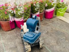 -龙大花卉苗木市场